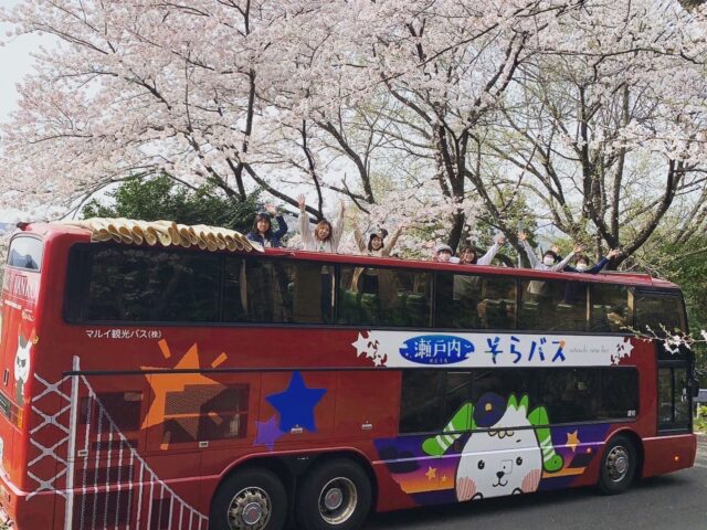 昼食はご自身で！神山町のしだれ桜＆イルローザの森🌸　瀬戸内そらバス　お花見ツアー【高松発着】