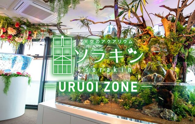 天空のアクアリウム【ソラキン】＆瀬戸大橋イブニングツアー　【高松発着】
